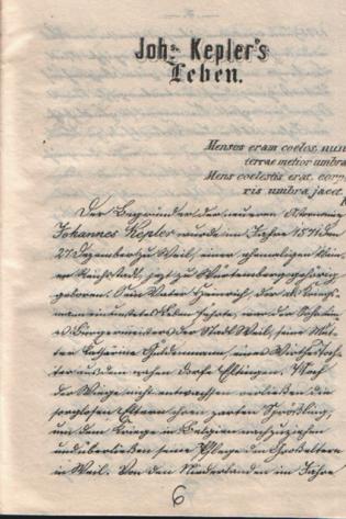 04_1303_f_x_595_1866_6_masolata.jpg